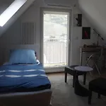 招待所 Winzerhaus Zell-mosel 3*