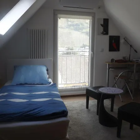 Pensión Winzerhaus Zell-mosel 3*