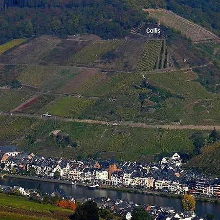 Pensión Winzerhaus Zell-mosel Zell