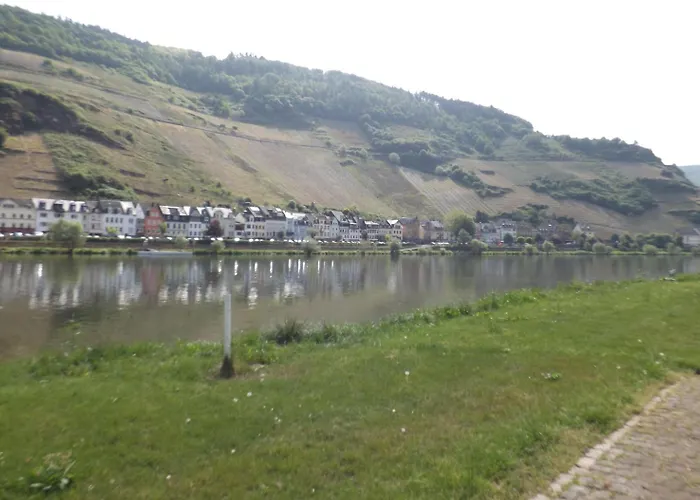 Gasthof Winzerhaus Zell-mosel Zell