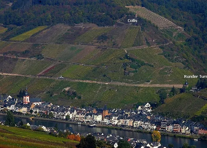 Gasthof Winzerhaus Zell-mosel Zell